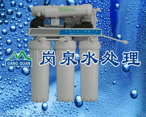 50G自动冲洗纯水机